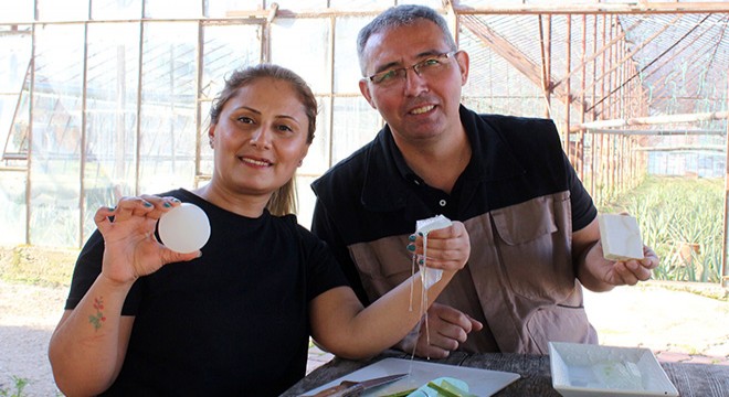 Yüzündeki alerjiyi geçiren bitkinin üreticisi oldu
