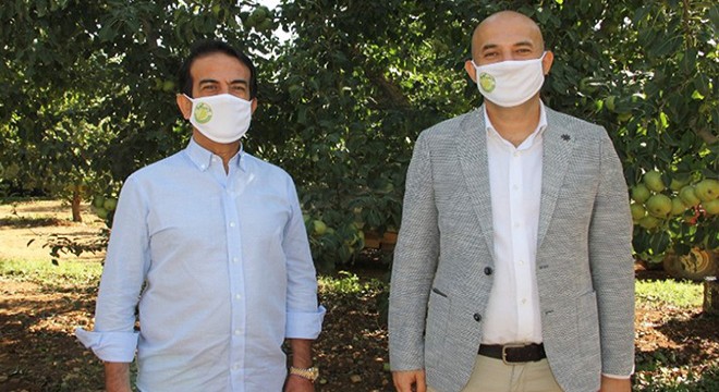 Zeytin Mektebi 20 bin kişiye ulaştı