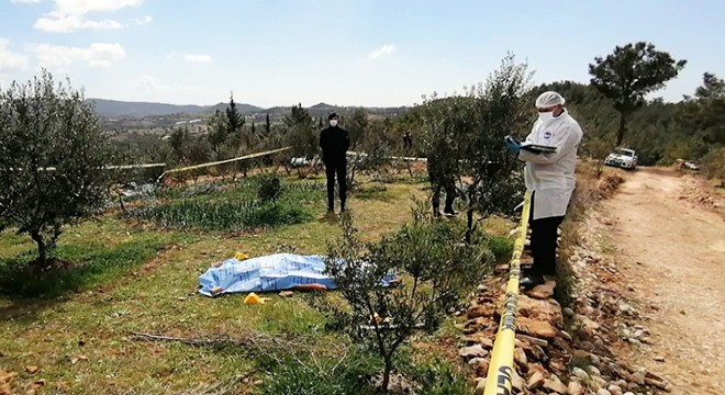 Zeytin ağaçlarını kestiği gerekçesiyle tartıştığı ağabeyini öldürdü