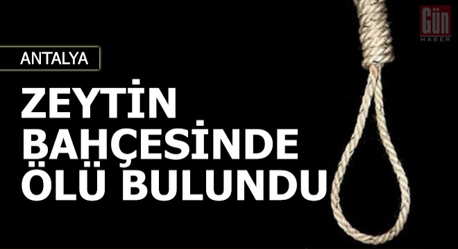 Zeytin bahçesinde ölü bulundu