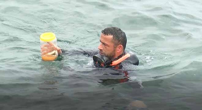 Zeytinburnu’nda kıyı ve deniz dibi temizliği yapıldı