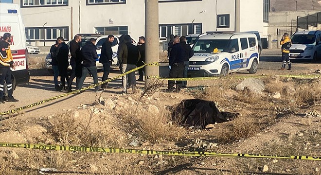 Zeytinliğe getirilen gübrenin içinden ceset çıktı