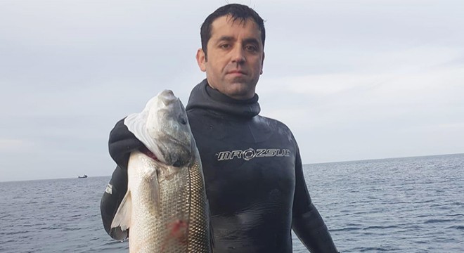 Zıpkınla 6,5 kiloluk levrek yakaladı