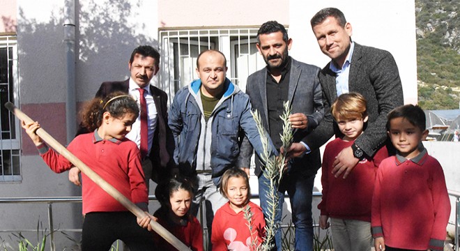 Ziraat Odası'ndan öğrencilere zeytin fidanı
