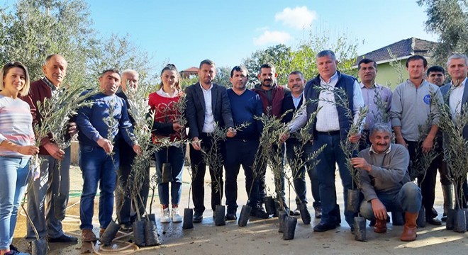 Ziraat Odası'ndan zeytin kampanyası