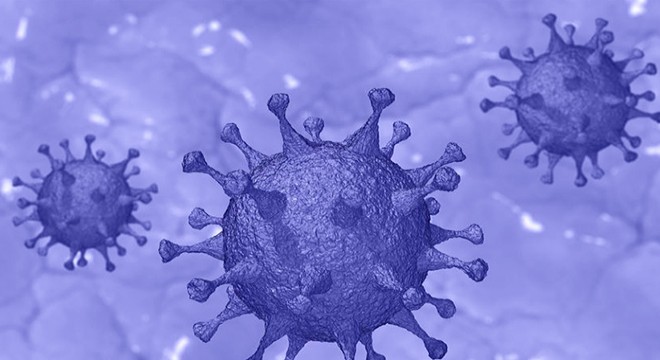 Ziyarete gelen çiftte koronavirüs tespit edildi