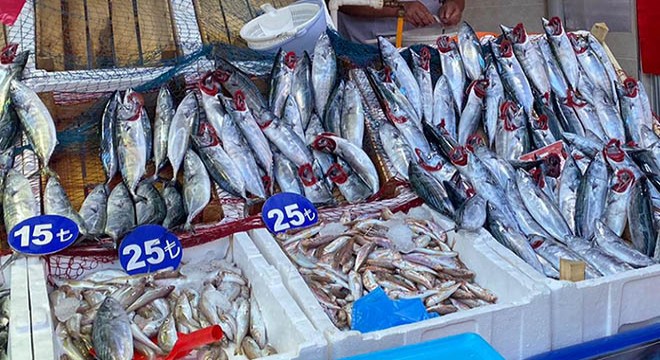 Zonguldak'ta tezgahlar balık doldu