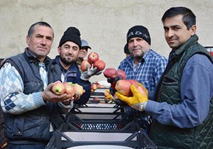 Elmada hareketlilik başladı