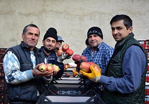 Elmada hareketlilik başladı