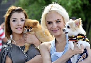 En güzel köpek yarışması