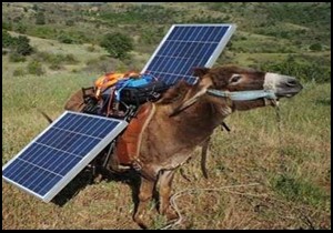 Eşek sırtında güneş enerji santrali