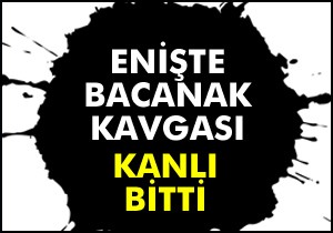 Enişte- bacanak kavgası kanlı bitti