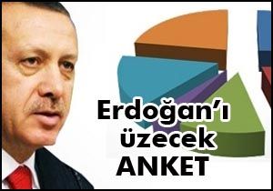 Erdoğan ı üzecek anket