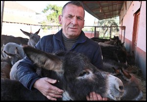 Türkiye'nin dört yanına eşek sütü satıyor