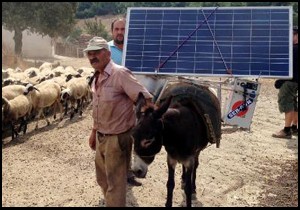 'Eşektrik' dünyaya yayılıyor