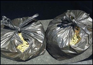 Şüpheli araçta 2 kilo esrar