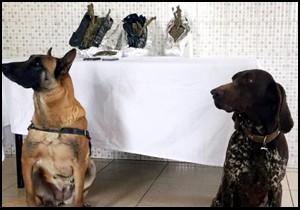 Yol denetiminde 4.5 kilo esrar ele geçirildi