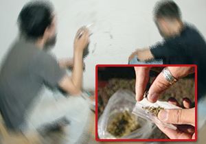 Uyuşturucu diyarından sera diyarına