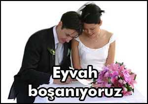 Türkiye'de evlilik istatistikleri