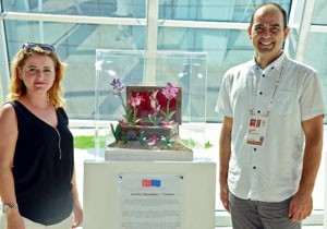 Orkideler için Expo 2016'da bir araya geldiler
