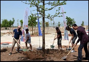 EXPO 2016 ya bir ağaç da Kolpa dan