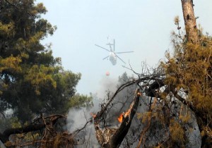 Antalya'da orman yangını