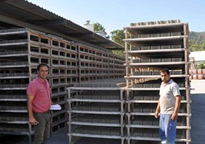 'Taş Fabrikası maliyetleri düşürdü'