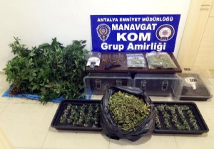 Manavgat'ta uyuşturucu operasyonu