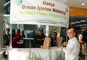 Alanya'da ücretsiz fidan dağıtımı
