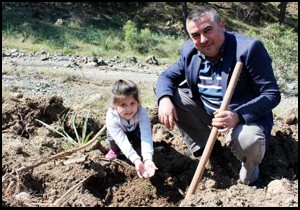 Kumluca'da öğrenciler fidan dikti
