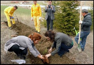 Her kan bağışı için 1 fidan