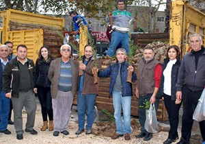 Serik'te fidan dağıtımı