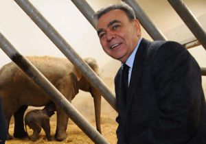 File isim aranıyor