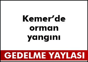 Kemer'de orman yangını