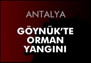 Göynük te orman yangını