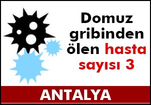 Antalya da domuz gribinden ölen hasta sayısı 3