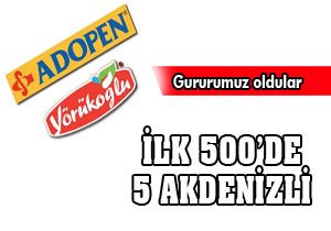İlk 500 de 5 Akdenizli