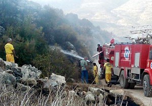 Hızlı müdahale Beymelek Dalyanı'nı kurtardı