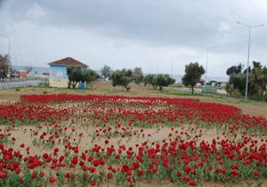 Hangisi doğru başkanım?