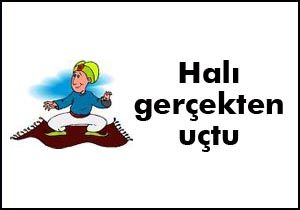 Turistin halı zaferi