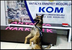 Karavanla ecstasy sevkiyatı 'Liza'ya takıldı