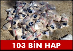 103 bin hap