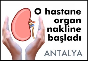 Eğitim Araştırma da ilk böbrek nakli