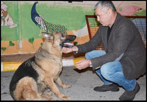 Deneyimli hayvan bakıcısı aranıyor