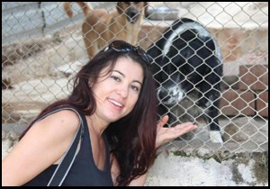 Alanya'da sahipsiz hayvanlara yardım eli