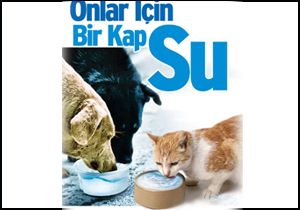 'Bir kap su'