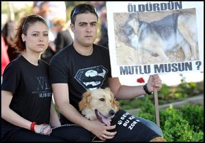 'Öldürdün mutlu musun'