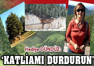 Hediye Gündüz: Bu katliamını durdurun