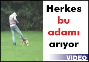 Herkes onu arıyor