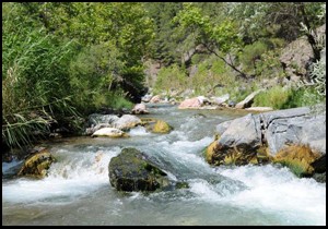 Danıştay  dur  dedi, bakanlık hes için  olur  verdi